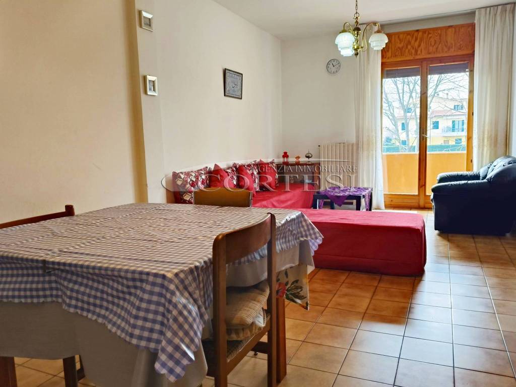 immagine annuncio 2 di 13