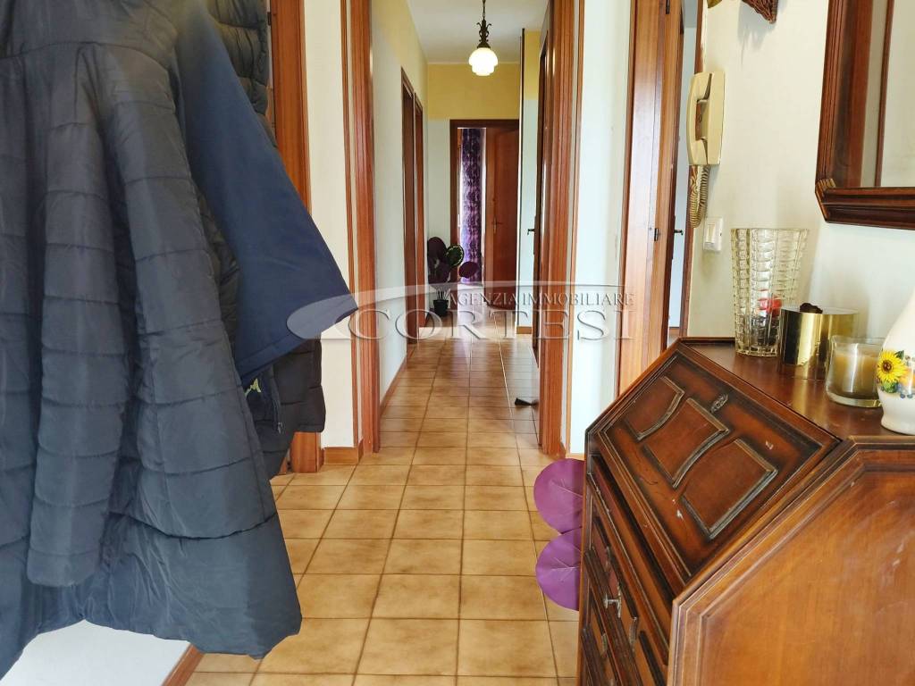immagine annuncio 3 di 13