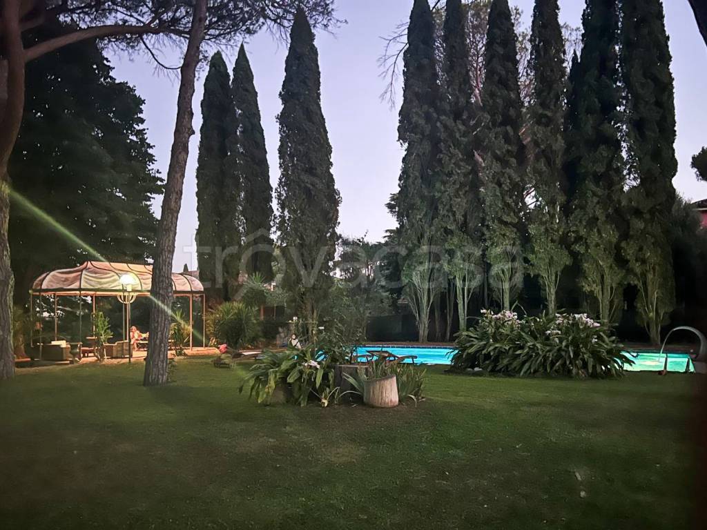 immagine annuncio 2 di 6