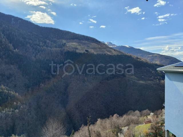 immagine annuncio 2 di 12