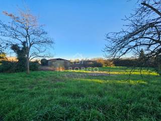 Terreno residenziale in vendita a buggiano via donatello