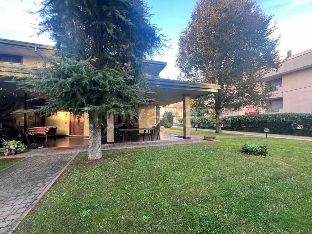 immagine annuncio 9 di 15