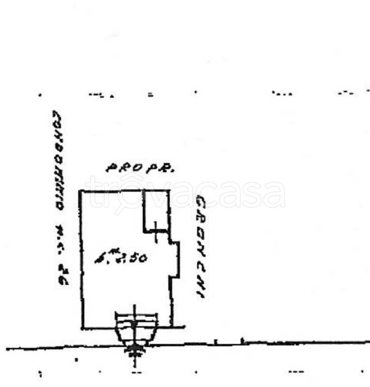 immagine annuncio 9 di 14