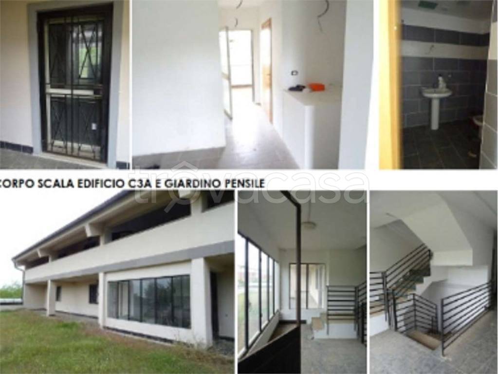 immagine annuncio 6 di 10