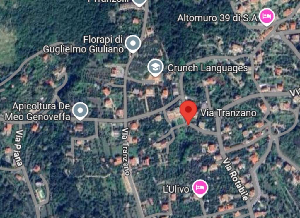 immagine annuncio 5 di 11