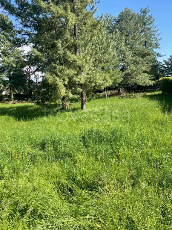 immagine annuncio 2 di 6