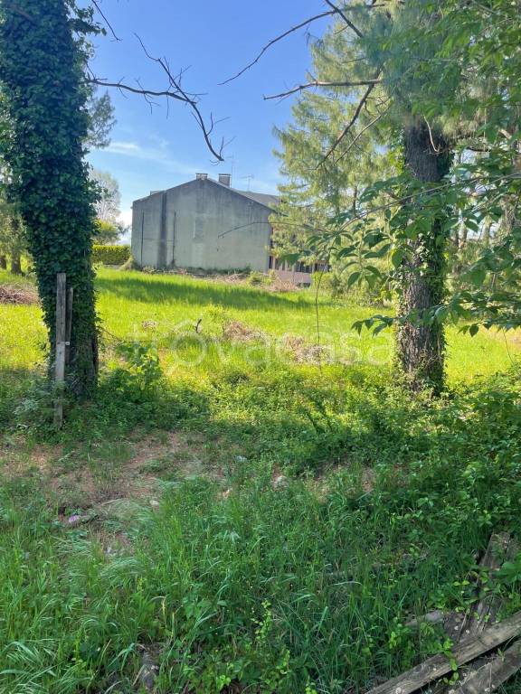 immagine annuncio 4 di 6