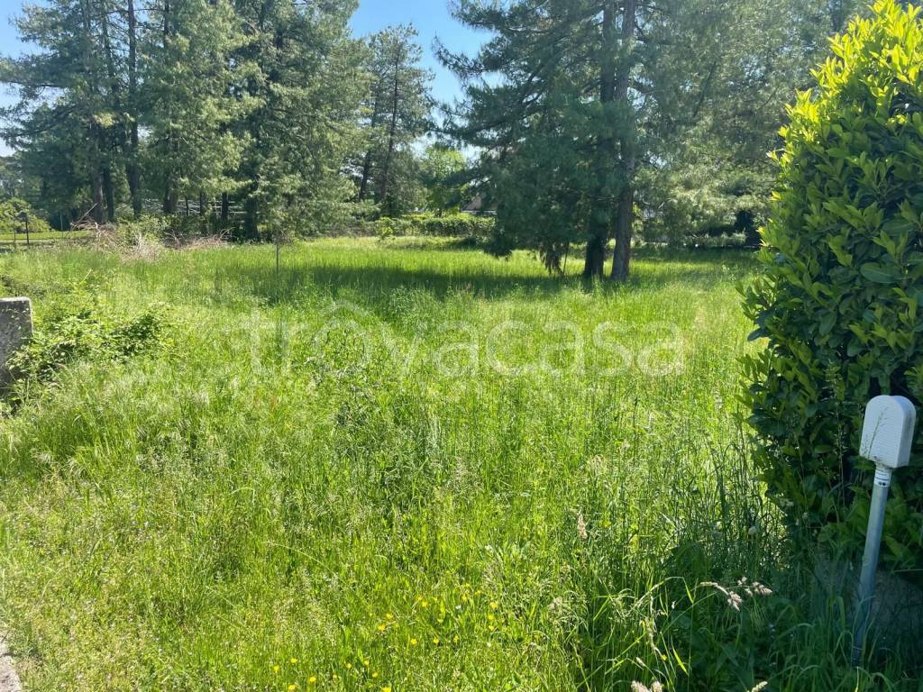 immagine annuncio 5 di 6