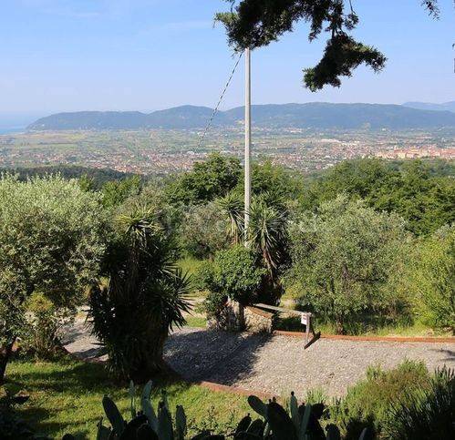 immagine annuncio 1 di 4