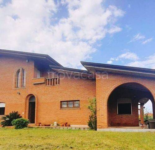 immagine annuncio 7 di 8