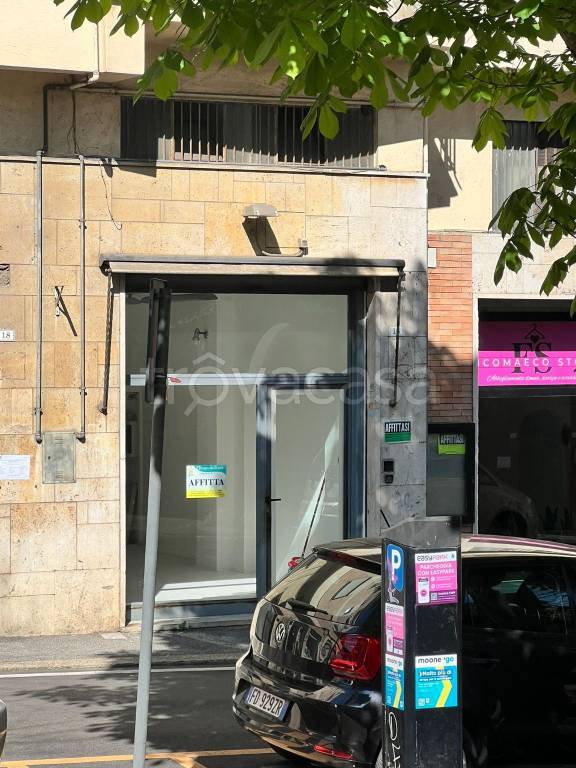 immagine annuncio 5 di 12
