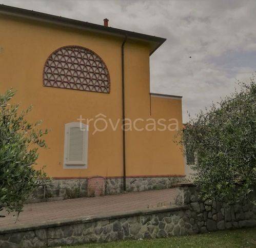 immagine annuncio 5 di 13