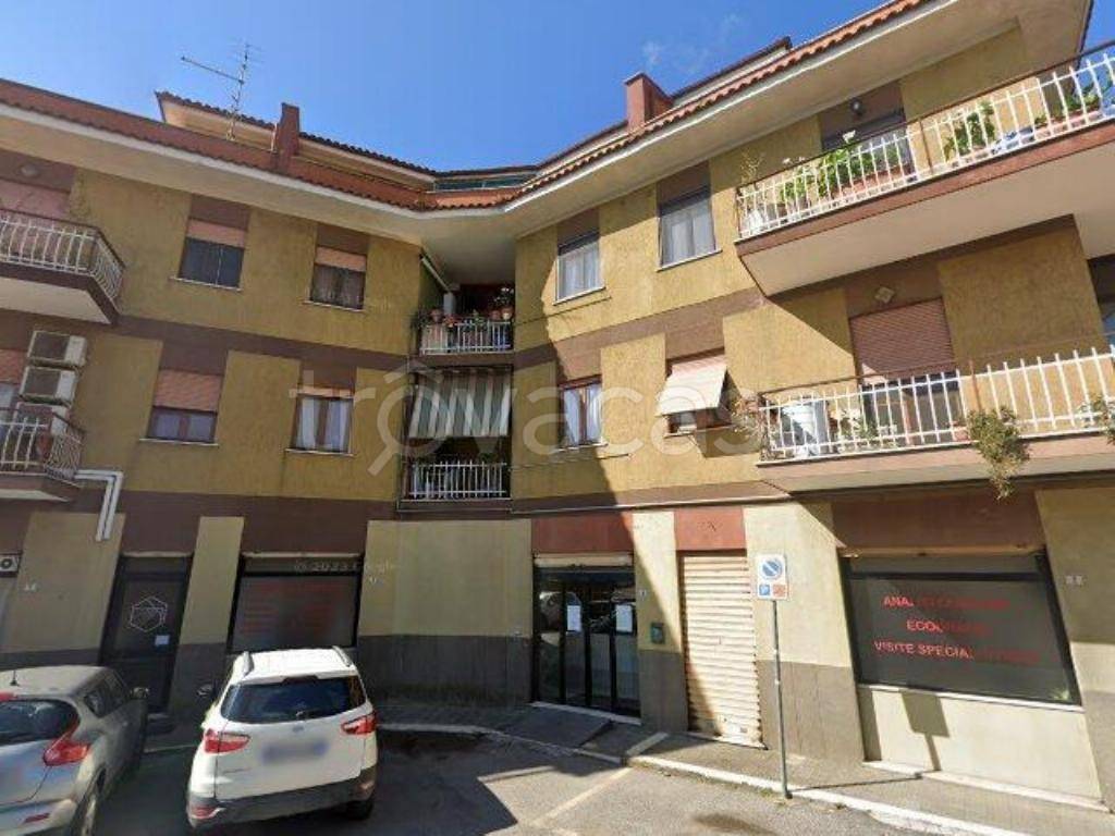 immagine annuncio 4 di 10