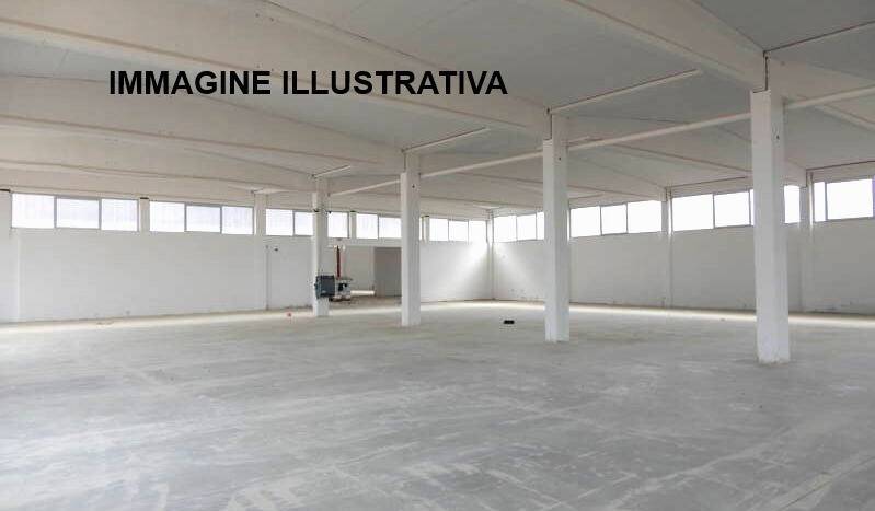 immagine annuncio 3 di 12