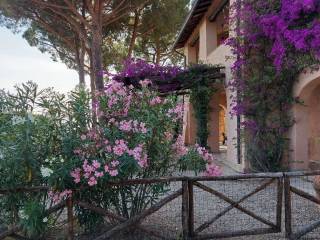 Villa bifamiliare in affitto a monte argentario la cannelle