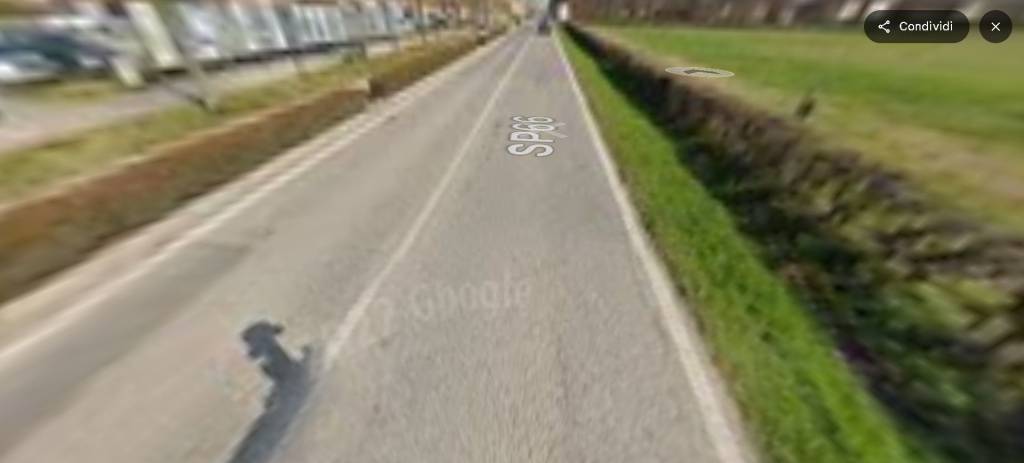 immagine annuncio 6 di 14