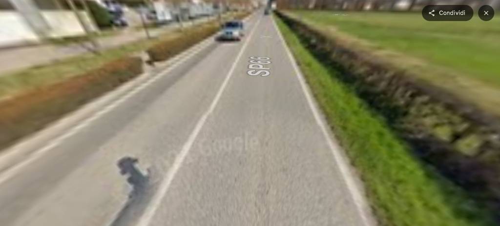 immagine annuncio 7 di 14