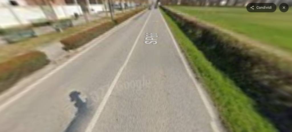 immagine annuncio 8 di 14