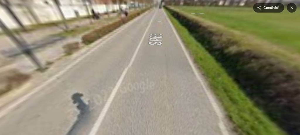 immagine annuncio 9 di 14