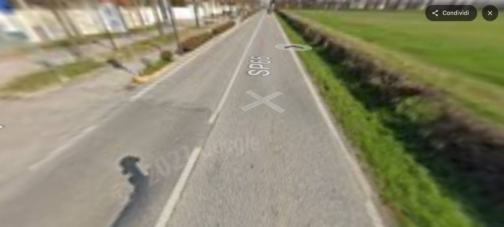 immagine annuncio 11 di 14