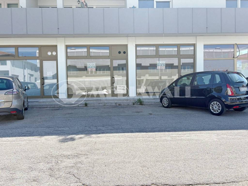immagine annuncio 2 di 11