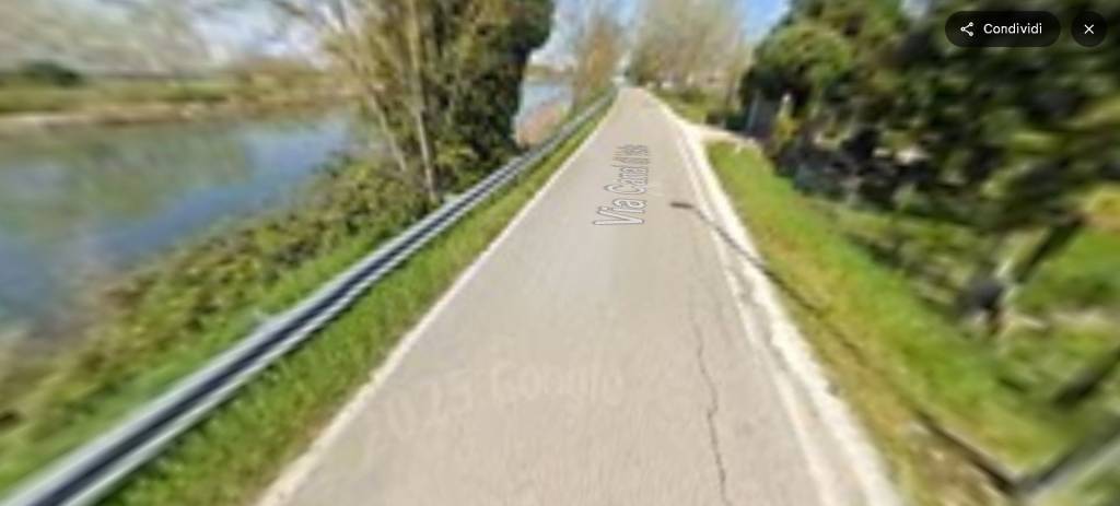 immagine annuncio 9 di 14