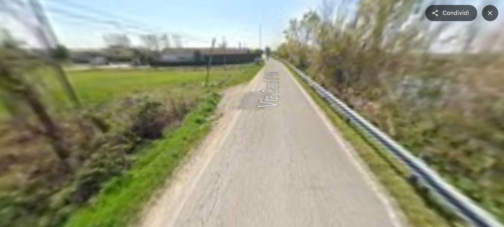 immagine annuncio 11 di 14