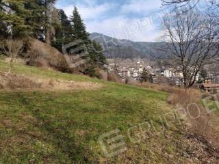 Terreno agricolo all'asta a borno loc. bernina