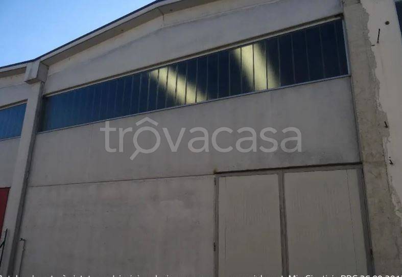 immagine annuncio 1 di 8