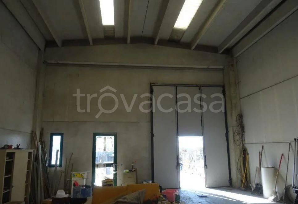 immagine annuncio 3 di 8