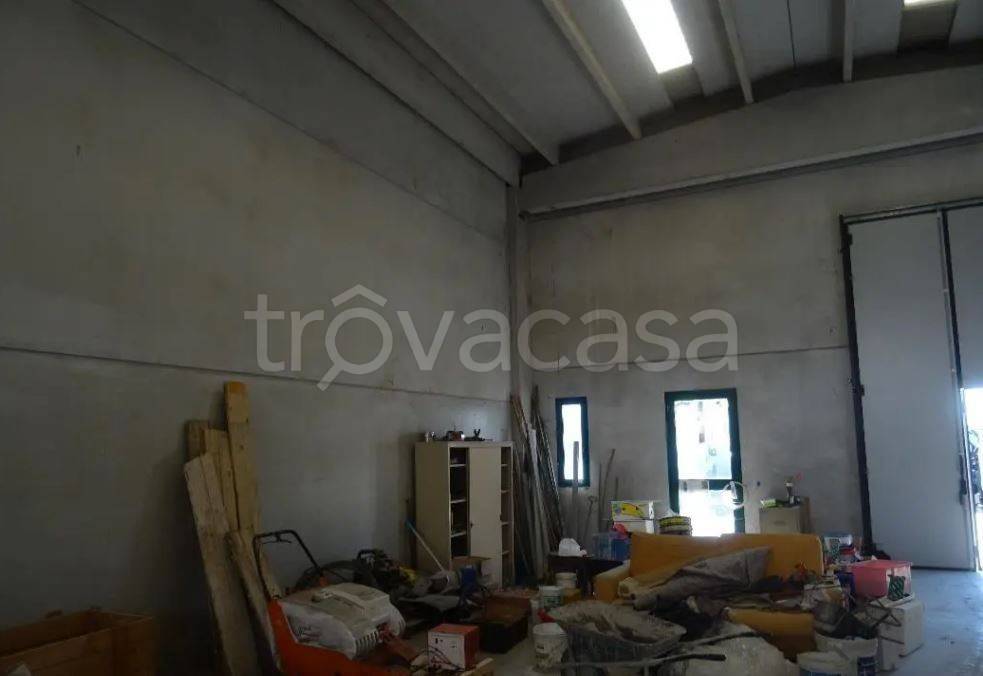 immagine annuncio 4 di 8