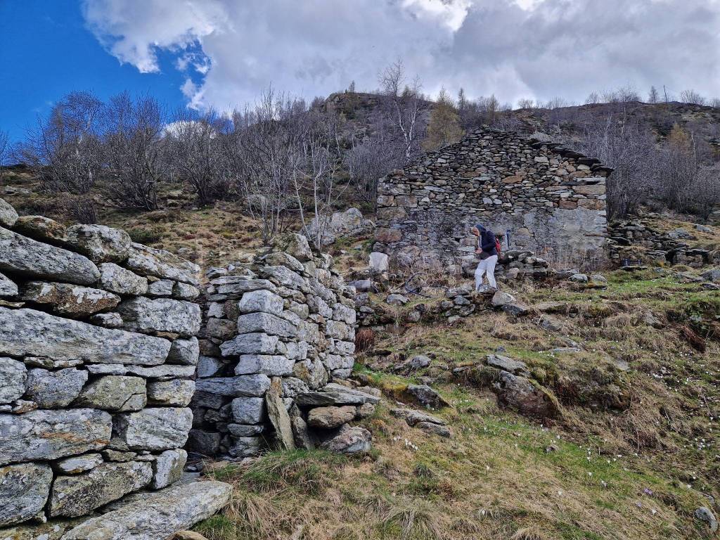 immagine annuncio 6 di 15