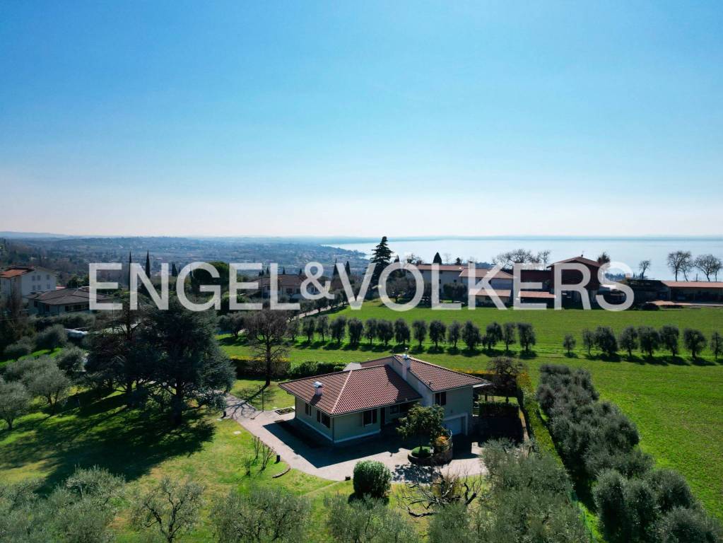 immagine annuncio 3 di 8