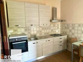 Appartamento in affitto a mantova viale veneto