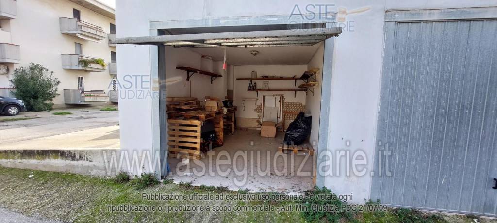 immagine annuncio 4 di 12