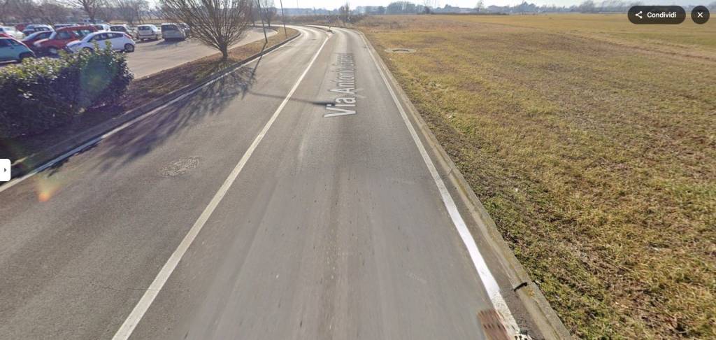 immagine annuncio 3 di 14