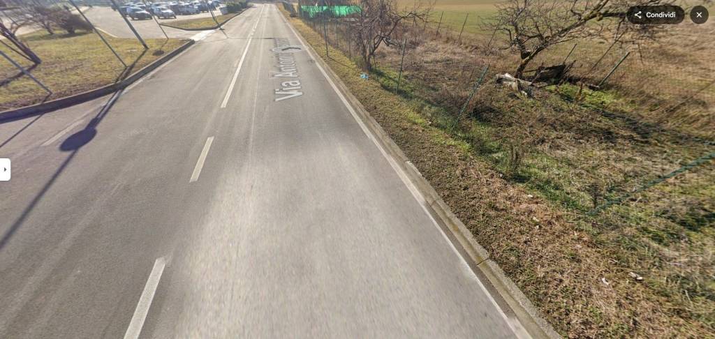 immagine annuncio 11 di 14