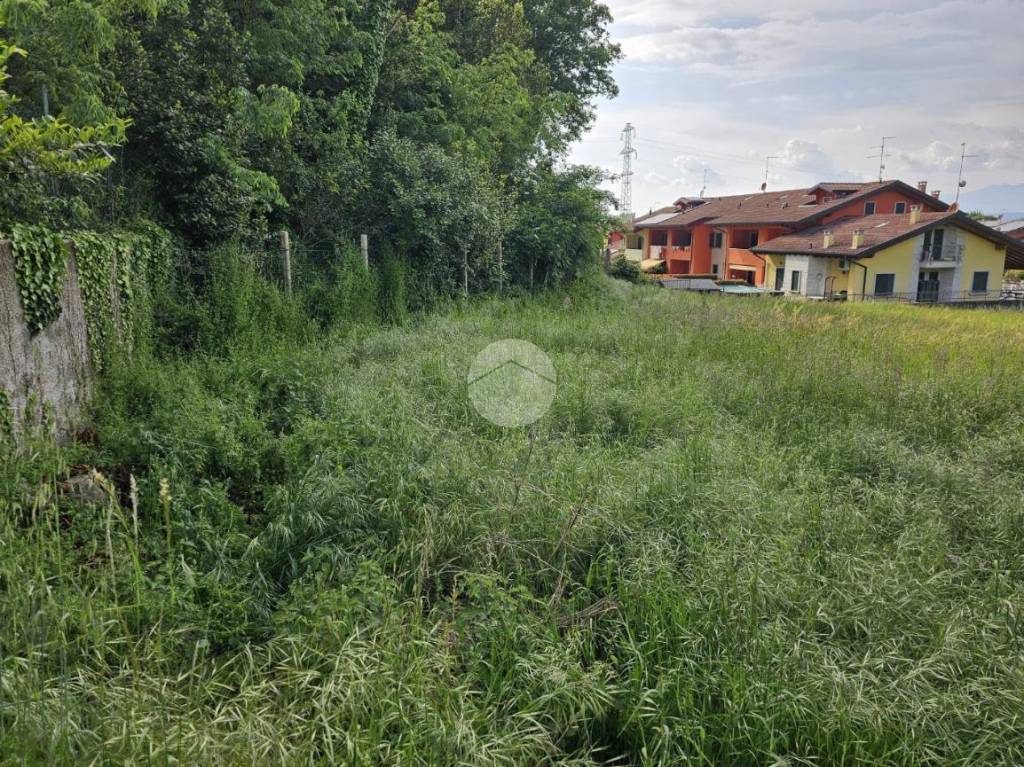 immagine annuncio 4 di 6