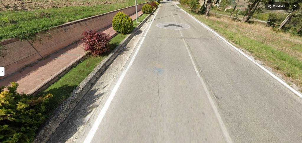 immagine annuncio 2 di 14