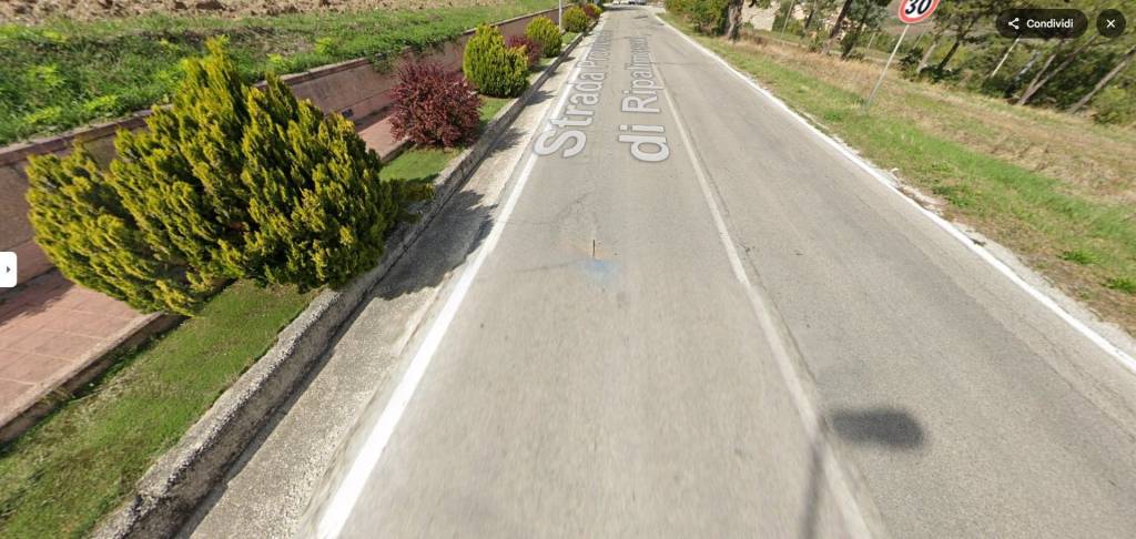 immagine annuncio 3 di 14
