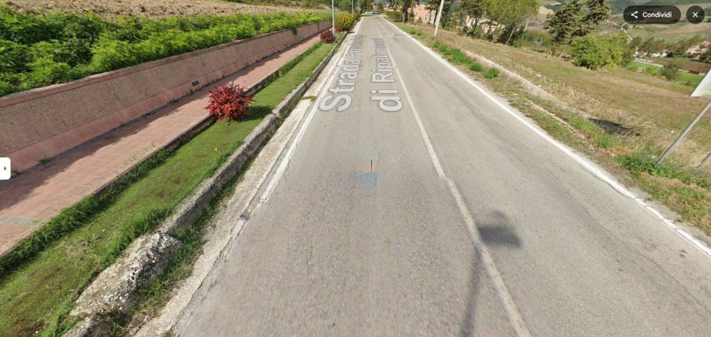 immagine annuncio 5 di 14