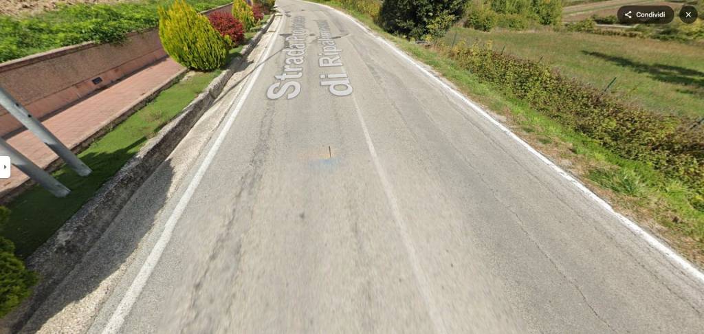 immagine annuncio 7 di 14