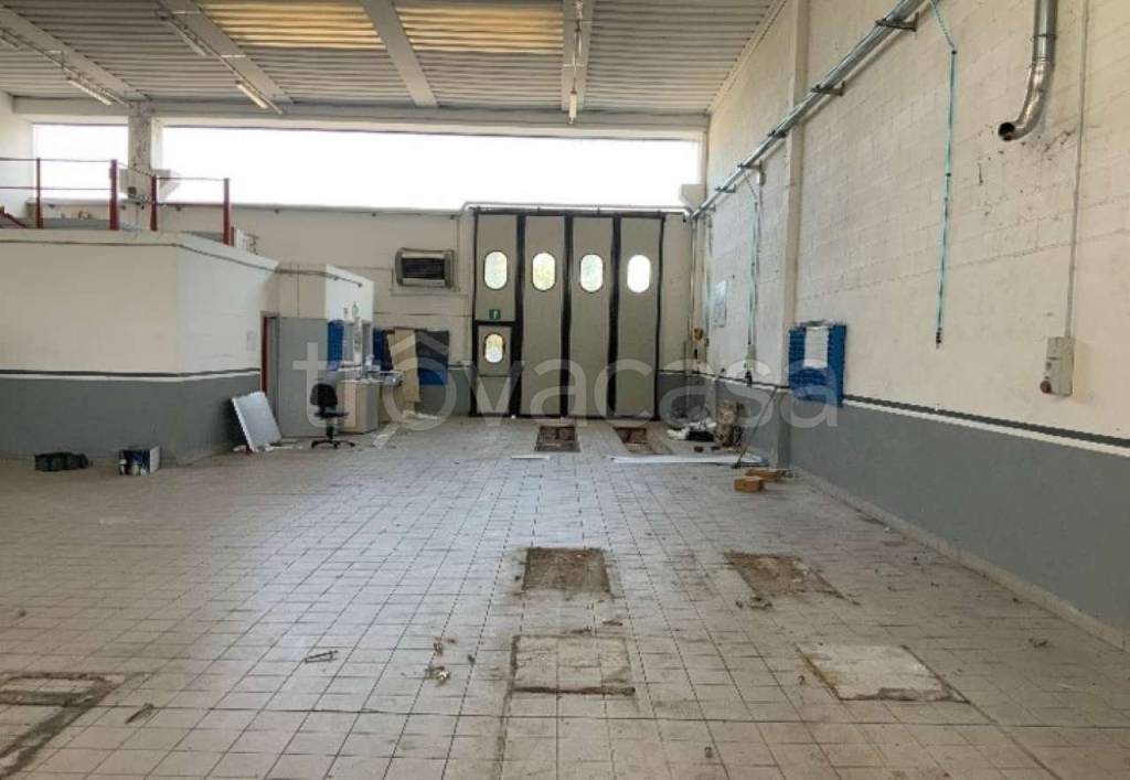 immagine annuncio 6 di 15