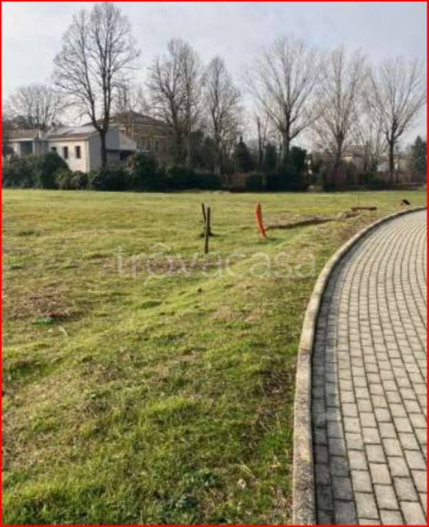 immagine annuncio 10 di 12