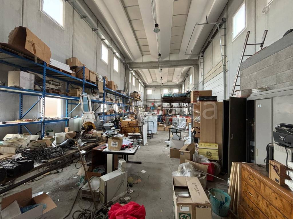 immagine annuncio 6 di 15