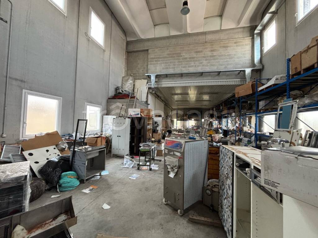 immagine annuncio 4 di 15