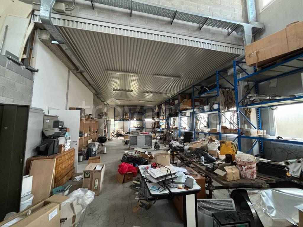 immagine annuncio 13 di 15