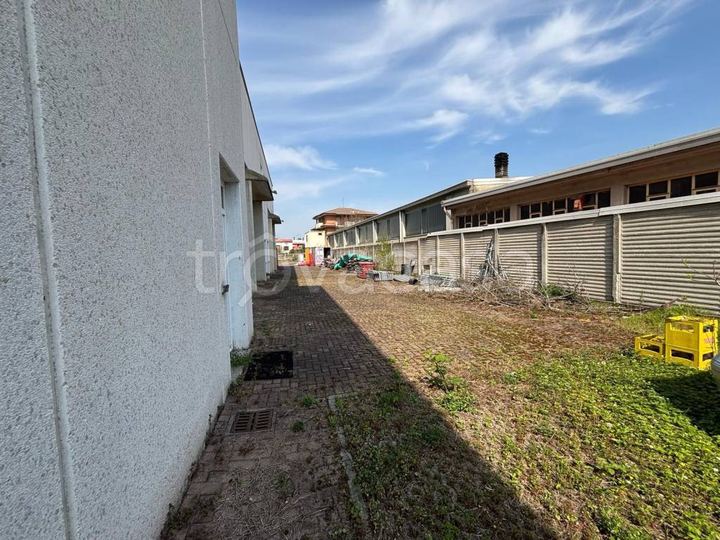 immagine annuncio 3 di 15