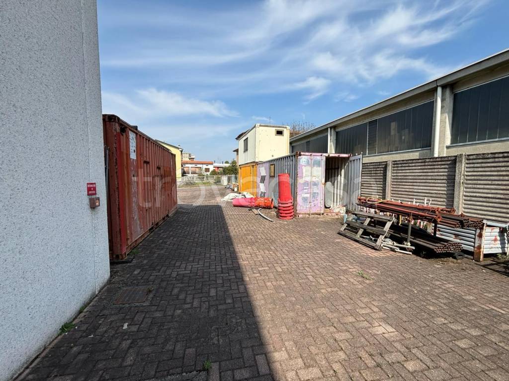 immagine annuncio 2 di 15