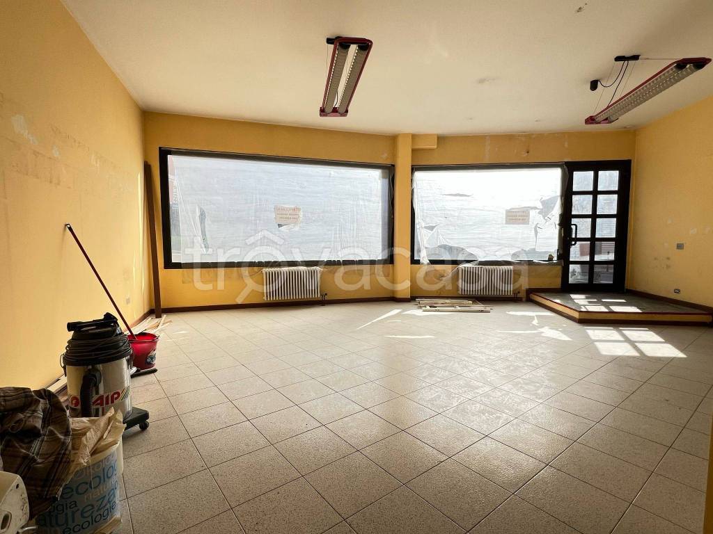 immagine annuncio 6 di 14